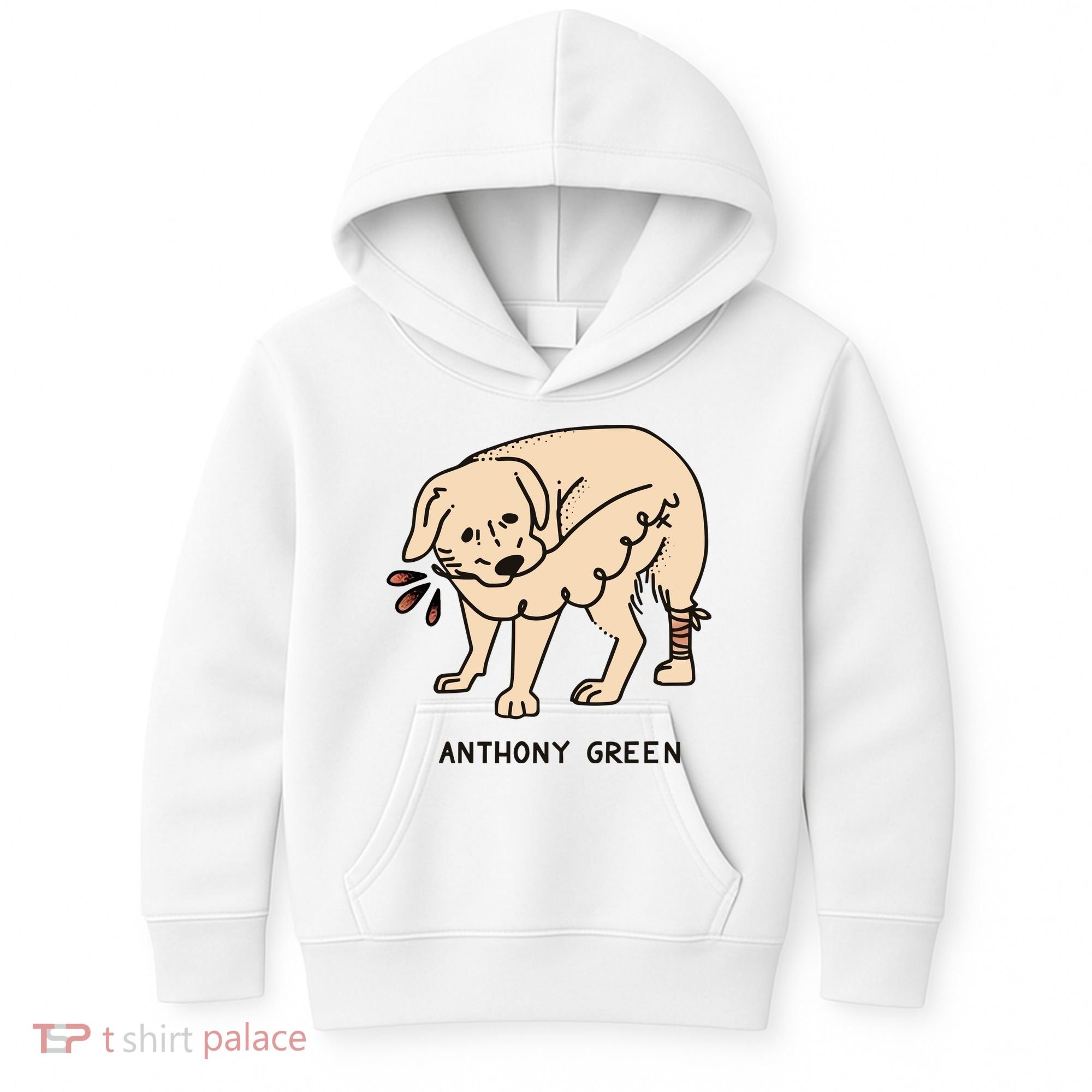 Anthony Green Numb Kids Hoodie