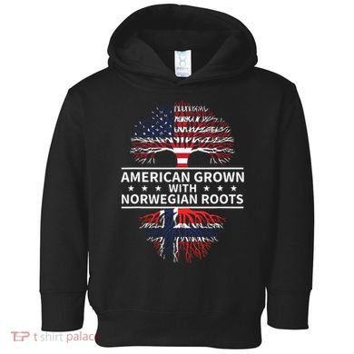 American Grown Norwegian Roots Gift Toddler Hoodie