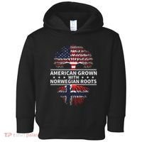 American Grown Norwegian Roots Gift Toddler Hoodie thumb 0