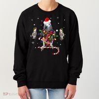 African Grey Parrot Funny Christmas Santa Hat On Gift Women's Sweatshirt thumb 0