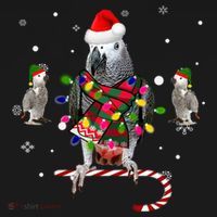 African Grey Parrot Funny Christmas Santa Hat On Gift Women's Hoodie thumb 2
