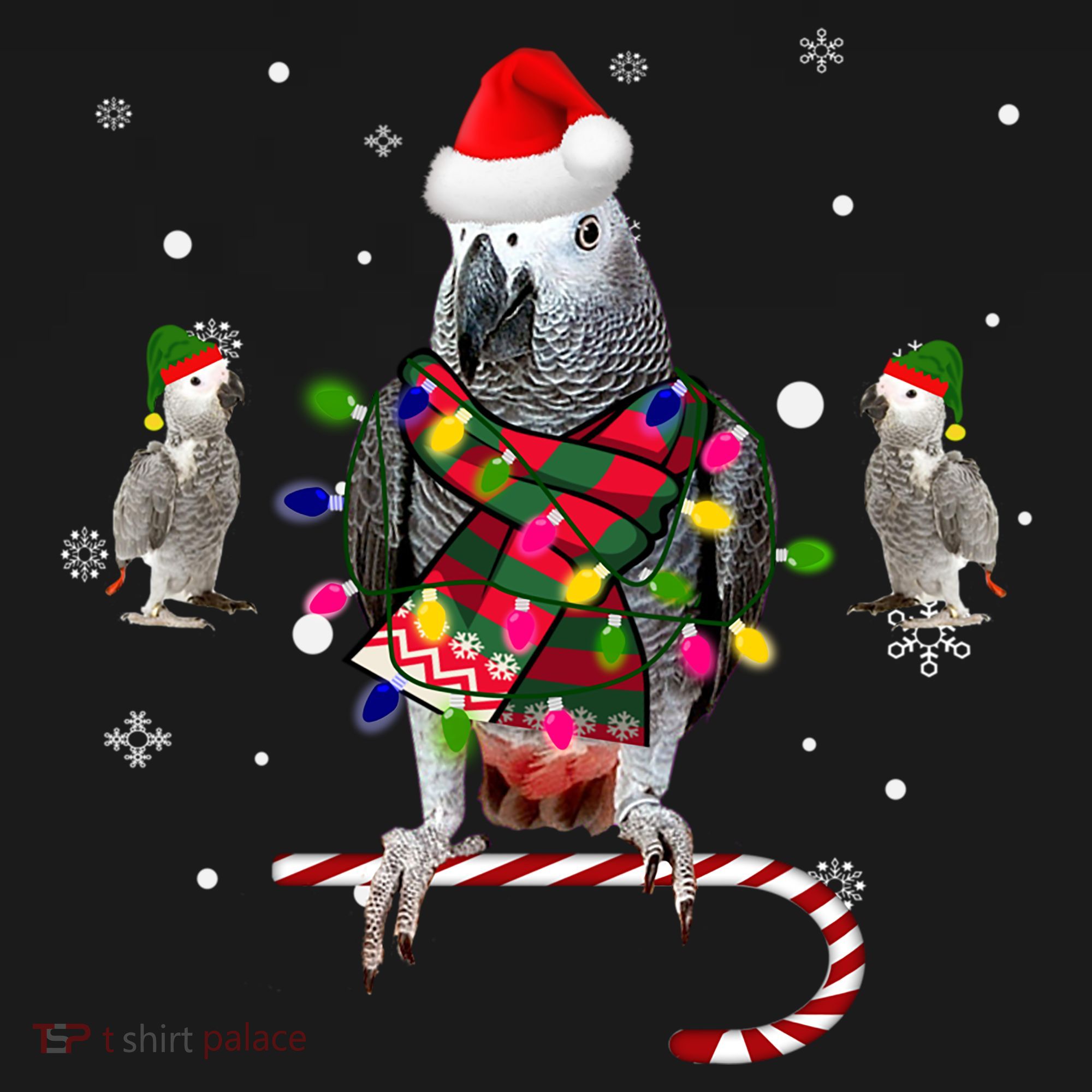 African Grey Parrot Funny Christmas Santa Hat On Gift Women's Hoodie