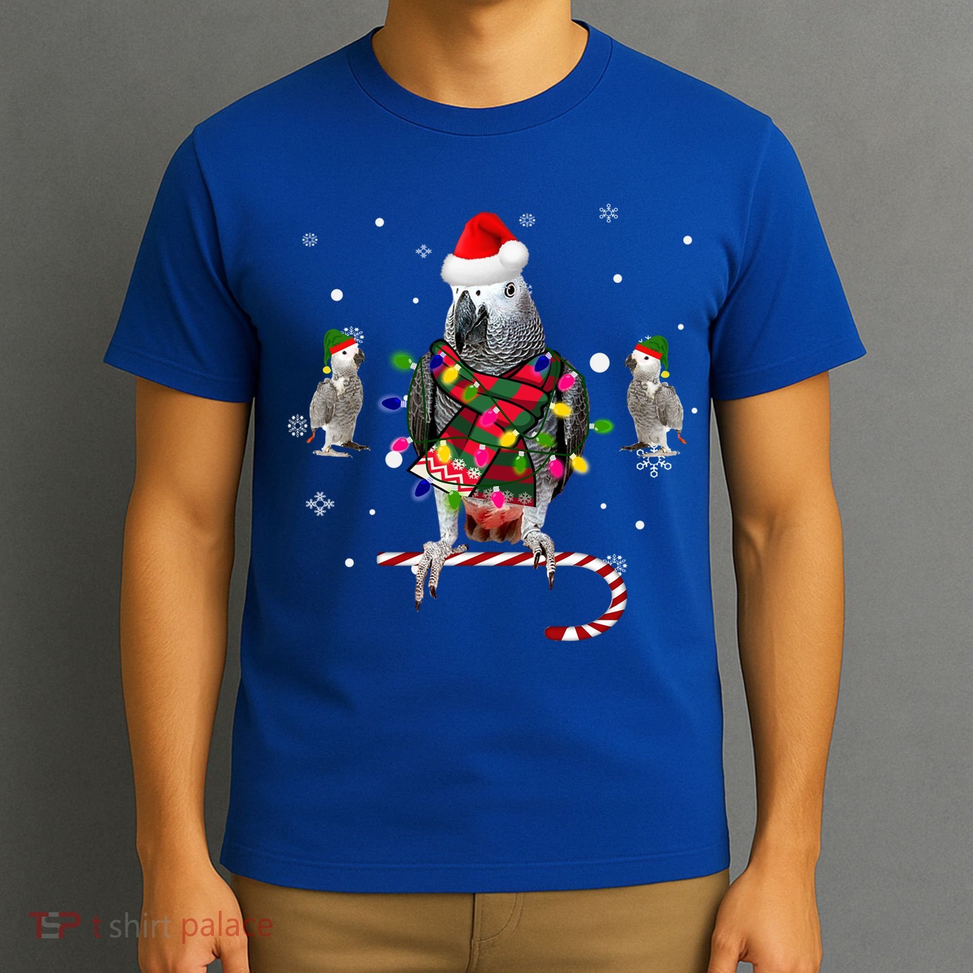 African Grey Parrot Funny Christmas Santa Hat On Gift T-Shirt