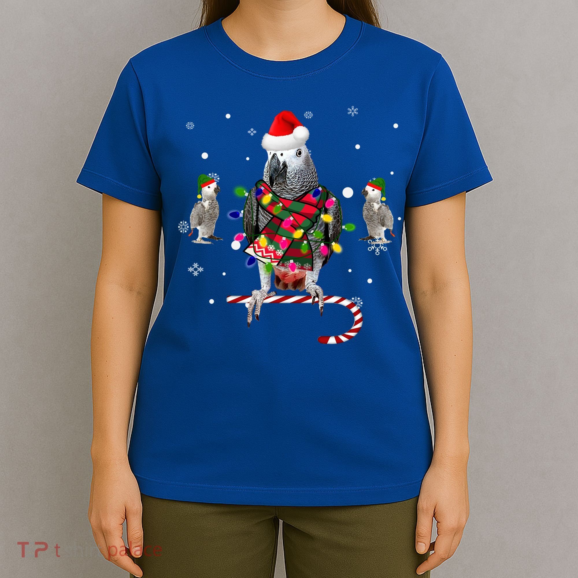 African Grey Parrot Funny Christmas Santa Hat On Gift T-Shirt