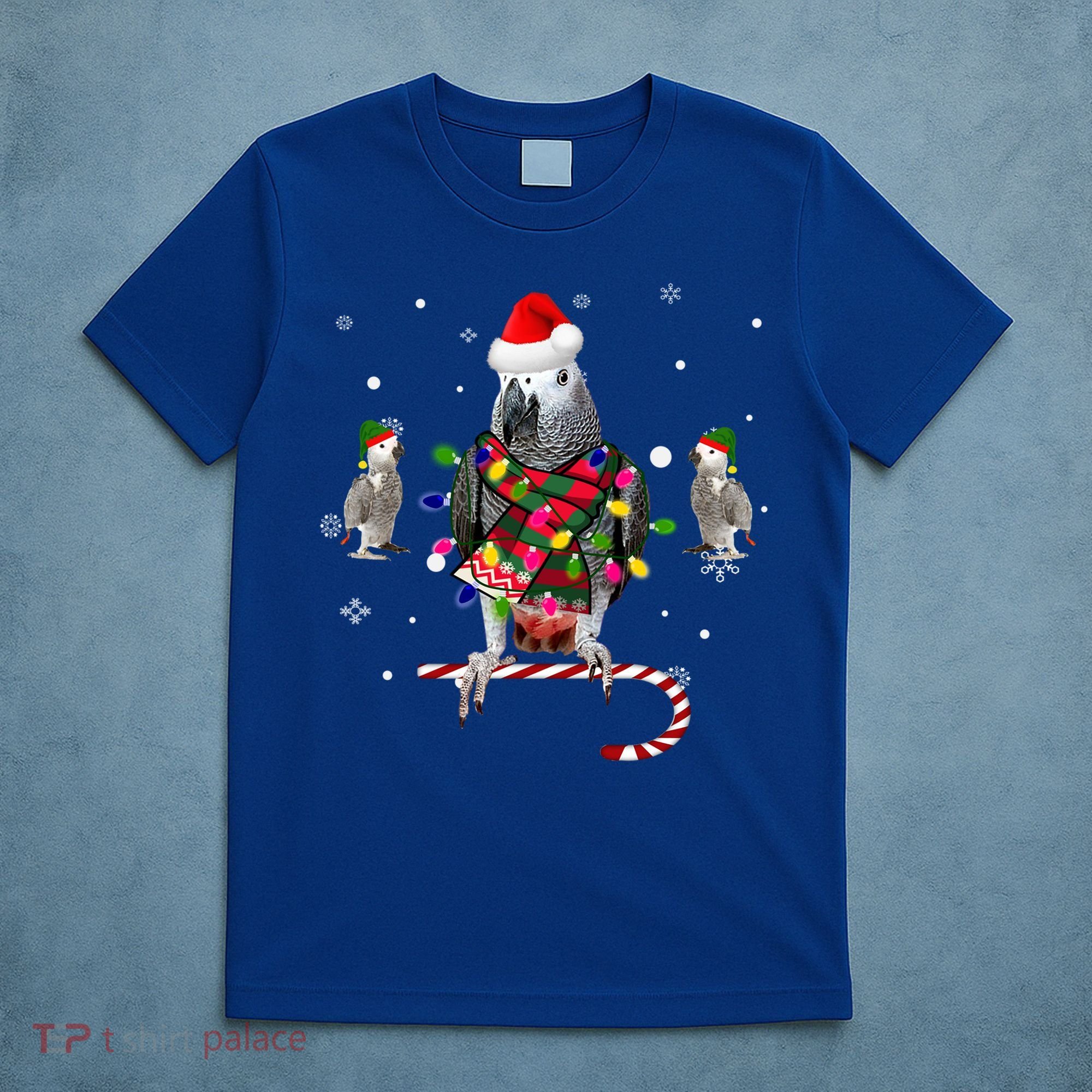 African Grey Parrot Funny Christmas Santa Hat On Gift T-Shirt
