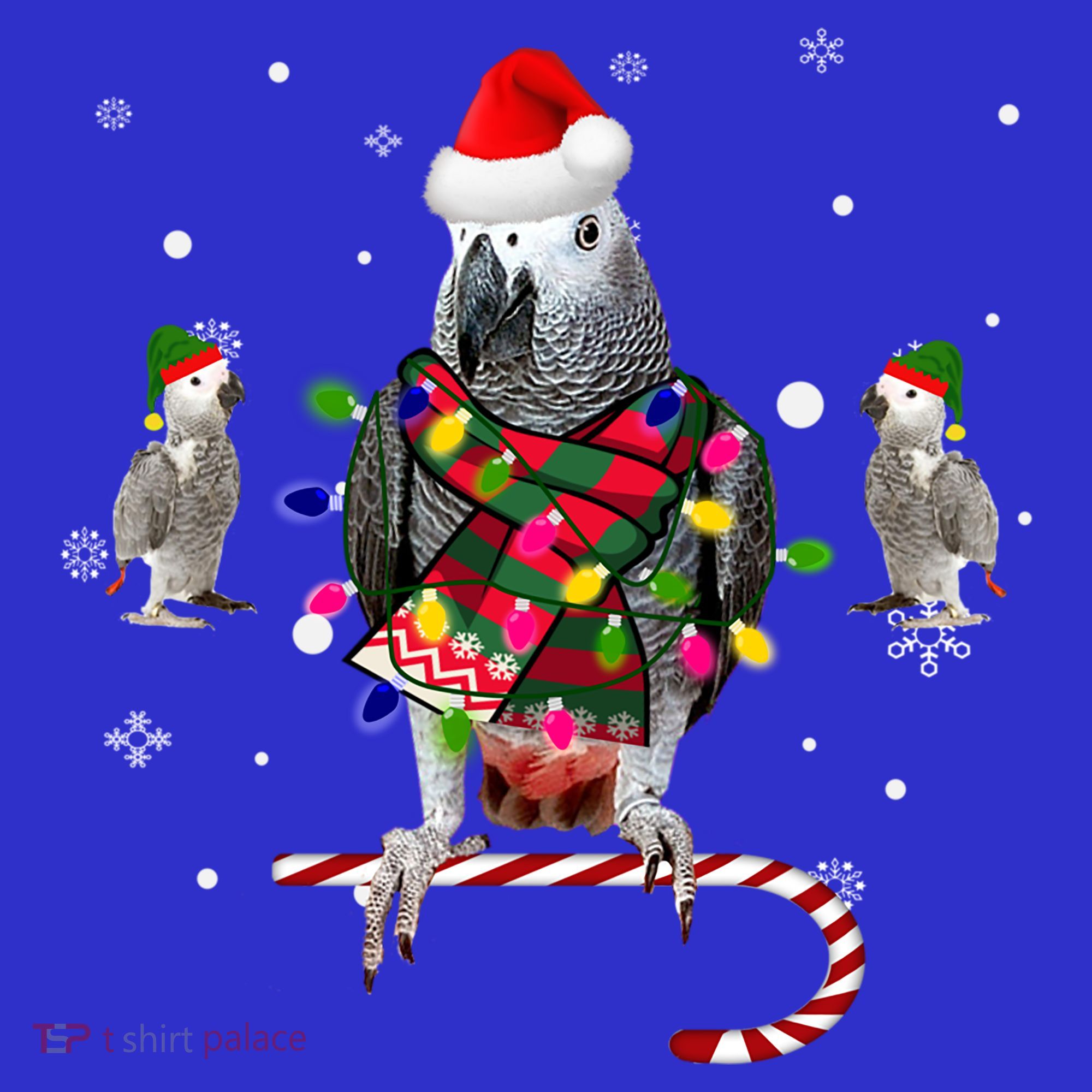 African Grey Parrot Funny Christmas Santa Hat On Gift Baby Bodysuit