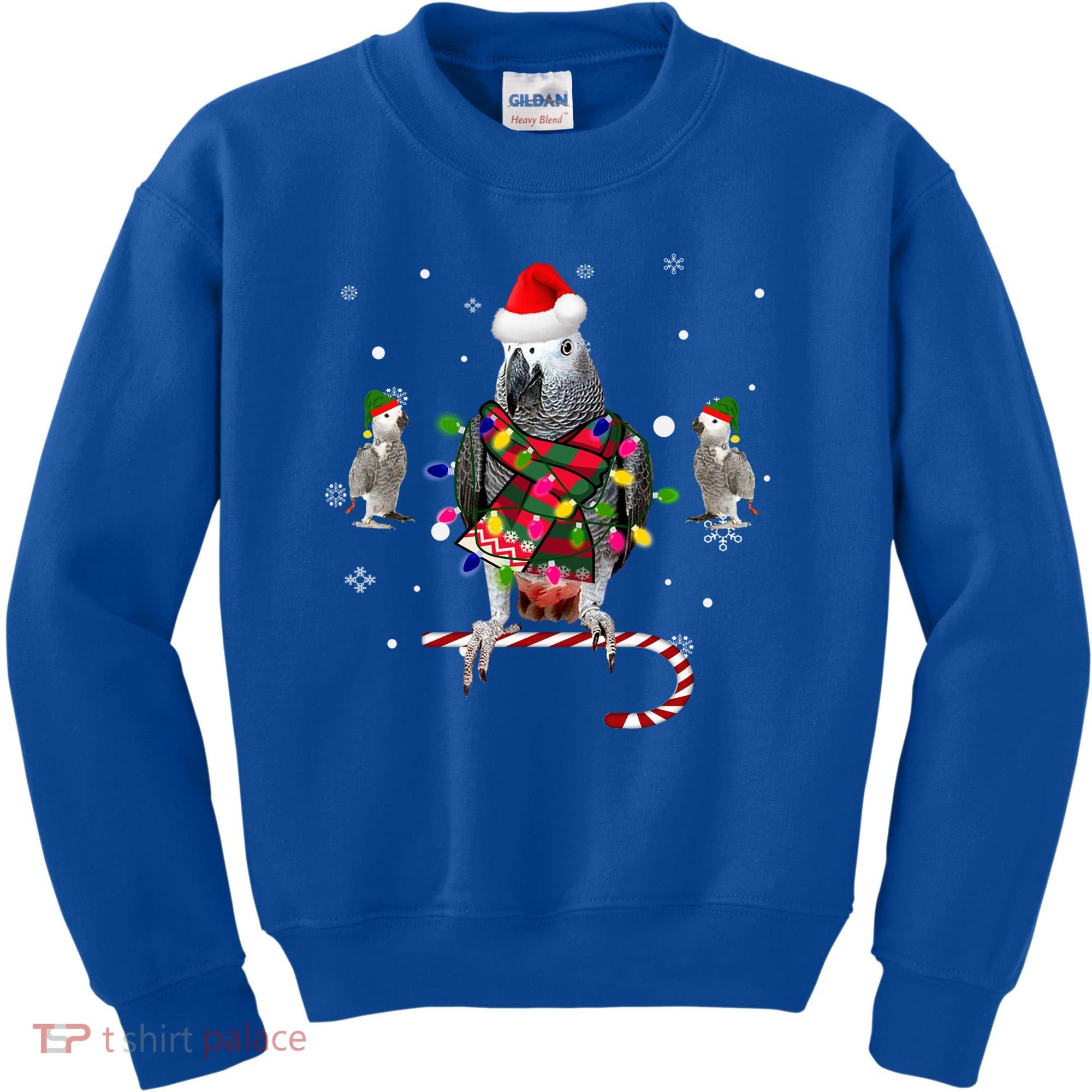 African Grey Parrot Funny Christmas Santa Hat On Gift Kids Sweatshirt