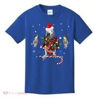 African Grey Parrot Funny Christmas Santa Hat On Gift Kids T-Shirt thumb 0