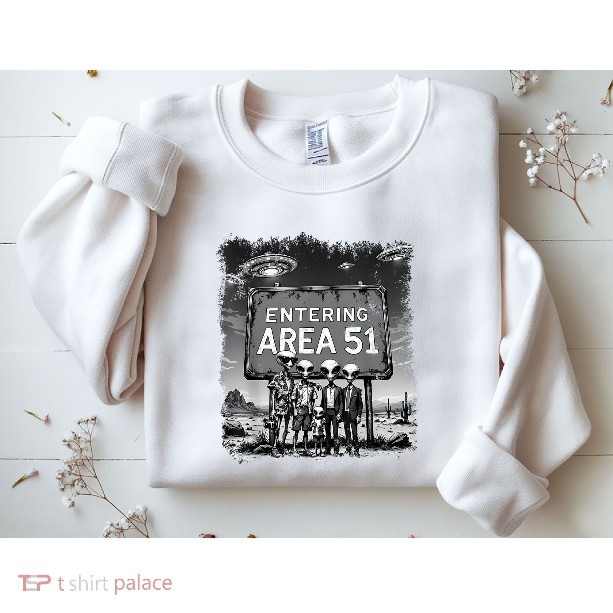 Aliens Group Photo Entering Area 51 Funny Ufo Uap Conspiracy Sweatshirt