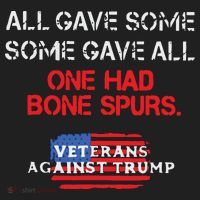 All Gave Some Gave All One Had Bone Spurs Veterans Against Trump Women's Sweatshirt thumb 2