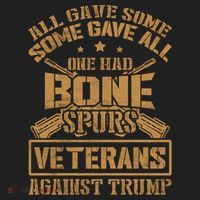 All Gave Some Some Gave All One Had Bone Spurs Veterans Against Trump Beanie thumb 2