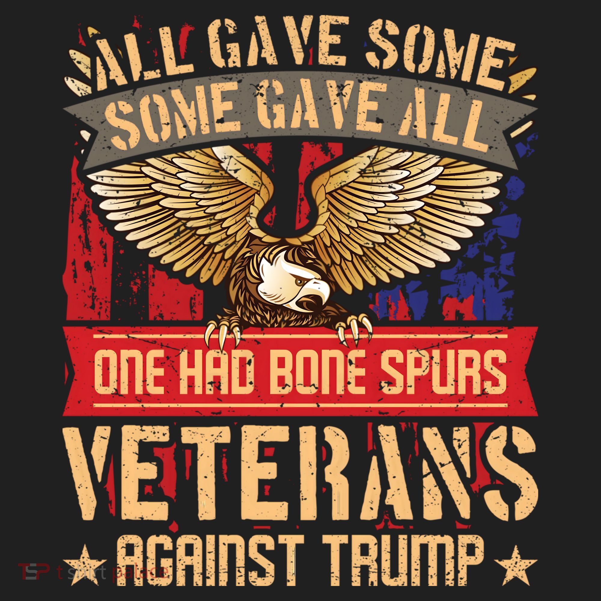 All Gave Some Some Gave All Us Flag Veterans Against Trump Meaningful Gift Beanie