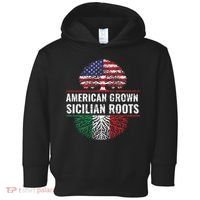 American Grown Sicilian Roots Gift Toddler Hoodie thumb 0