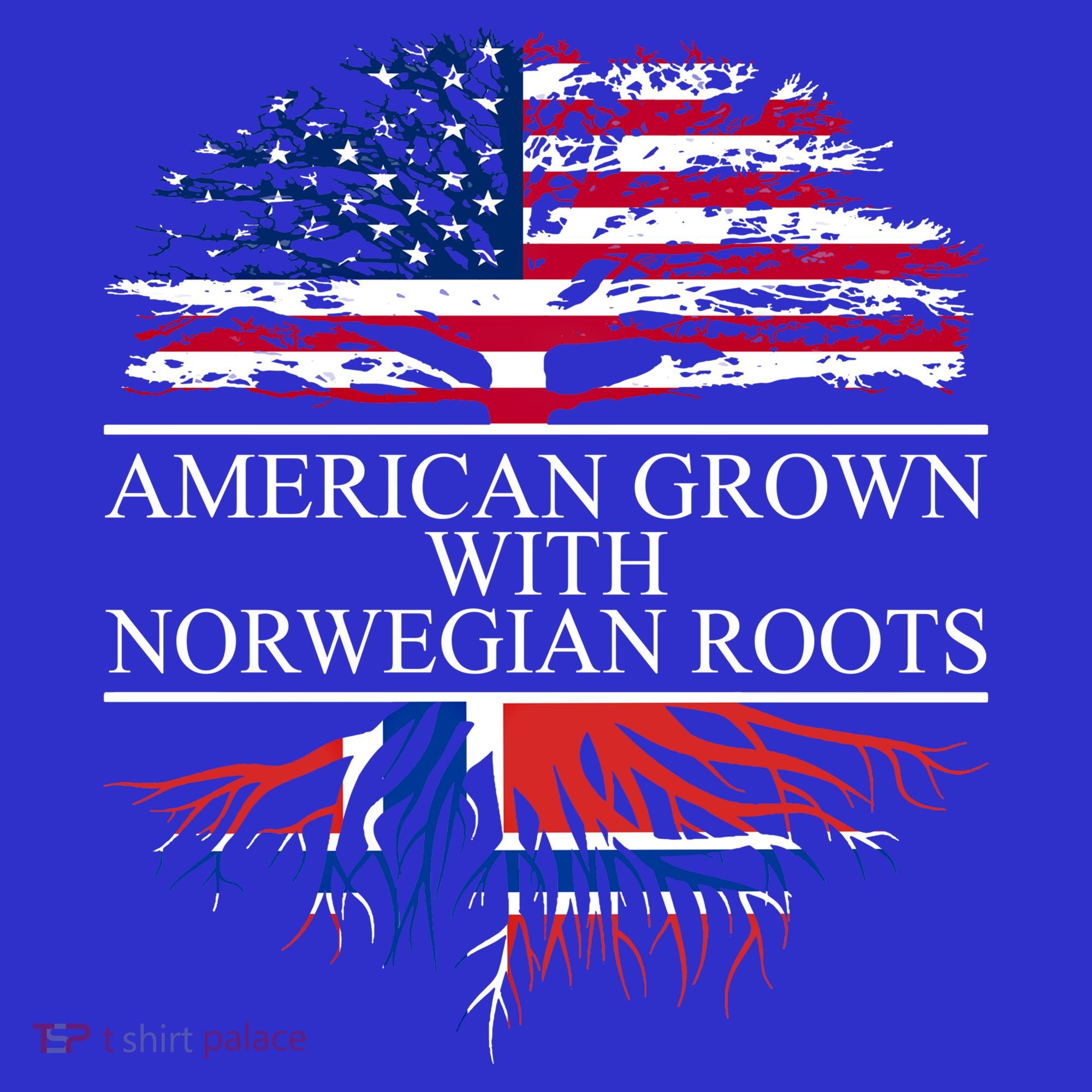 American Grown With Norwegian Roots Gift Women's Tank Top