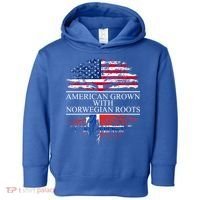 American Grown With Norwegian Roots Gift Toddler Hoodie thumb 0