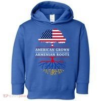 American Grown With Arian Roots Cute Gift Aria Gift Toddler Hoodie thumb 0