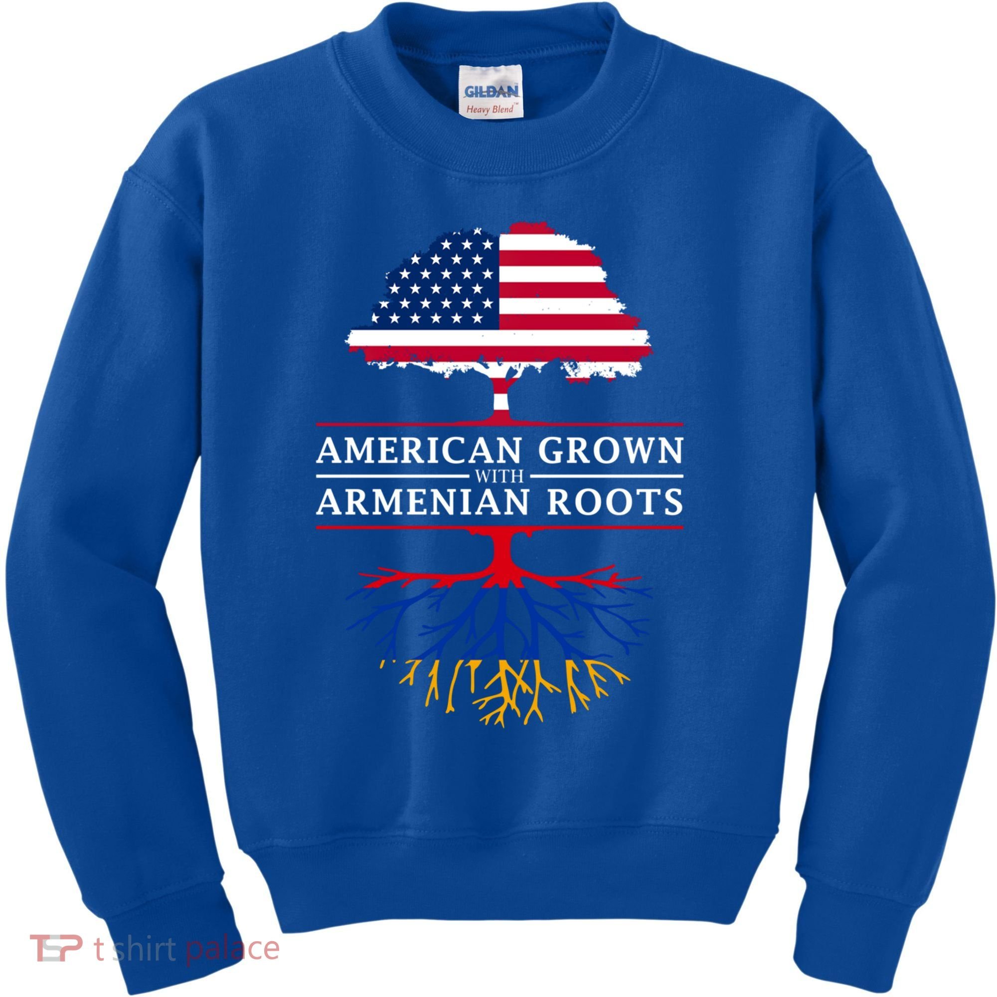 American Grown With Arian Roots Cute Gift Aria Gift Kids Sweatshirt