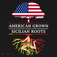 American Grown With Sicilian Roots Gift Sicily Gift Women's Hoodie thumb 2