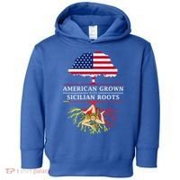 American Grown With Sicilian Roots Gift Sicily Gift Toddler Hoodie thumb 0