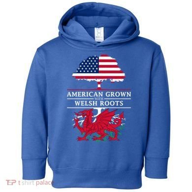 American Grown With Welsh Roots Funny Gift Wales Gift Toddler Hoodie
