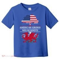 American Grown With Welsh Roots Funny Gift Wales Gift Toddler T-Shirt thumb 0