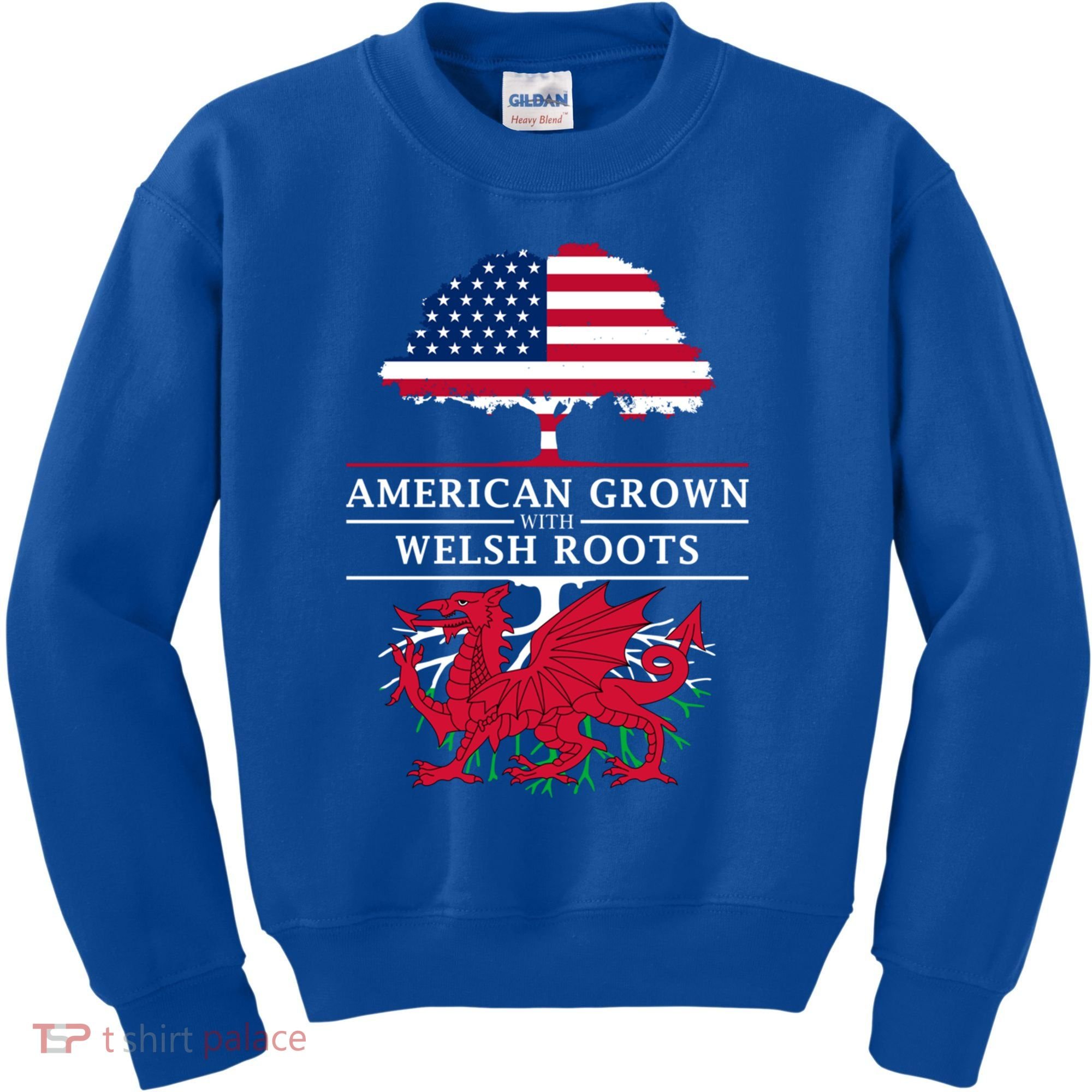 American Grown With Welsh Roots Funny Gift Wales Gift Kids Sweatshirt