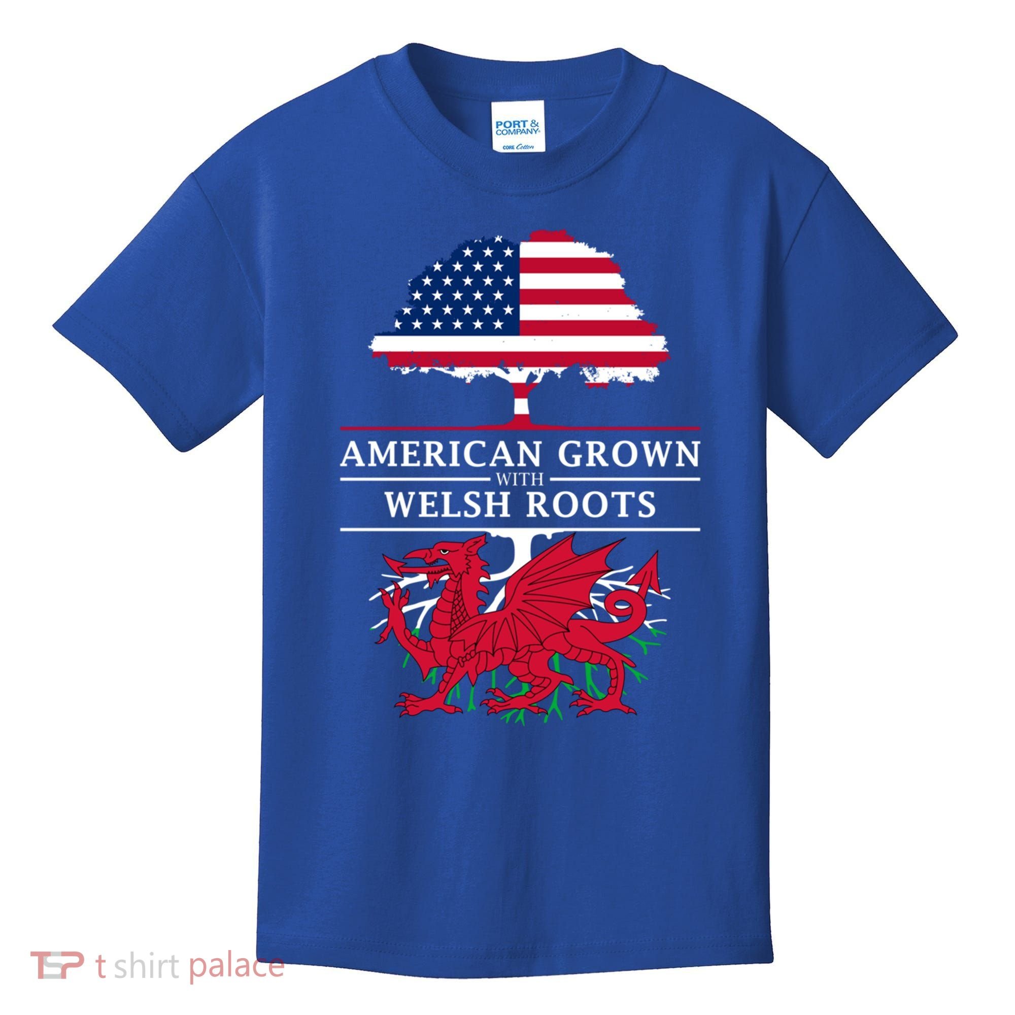 American Grown With Welsh Roots Funny Gift Wales Gift Kids T-Shirt