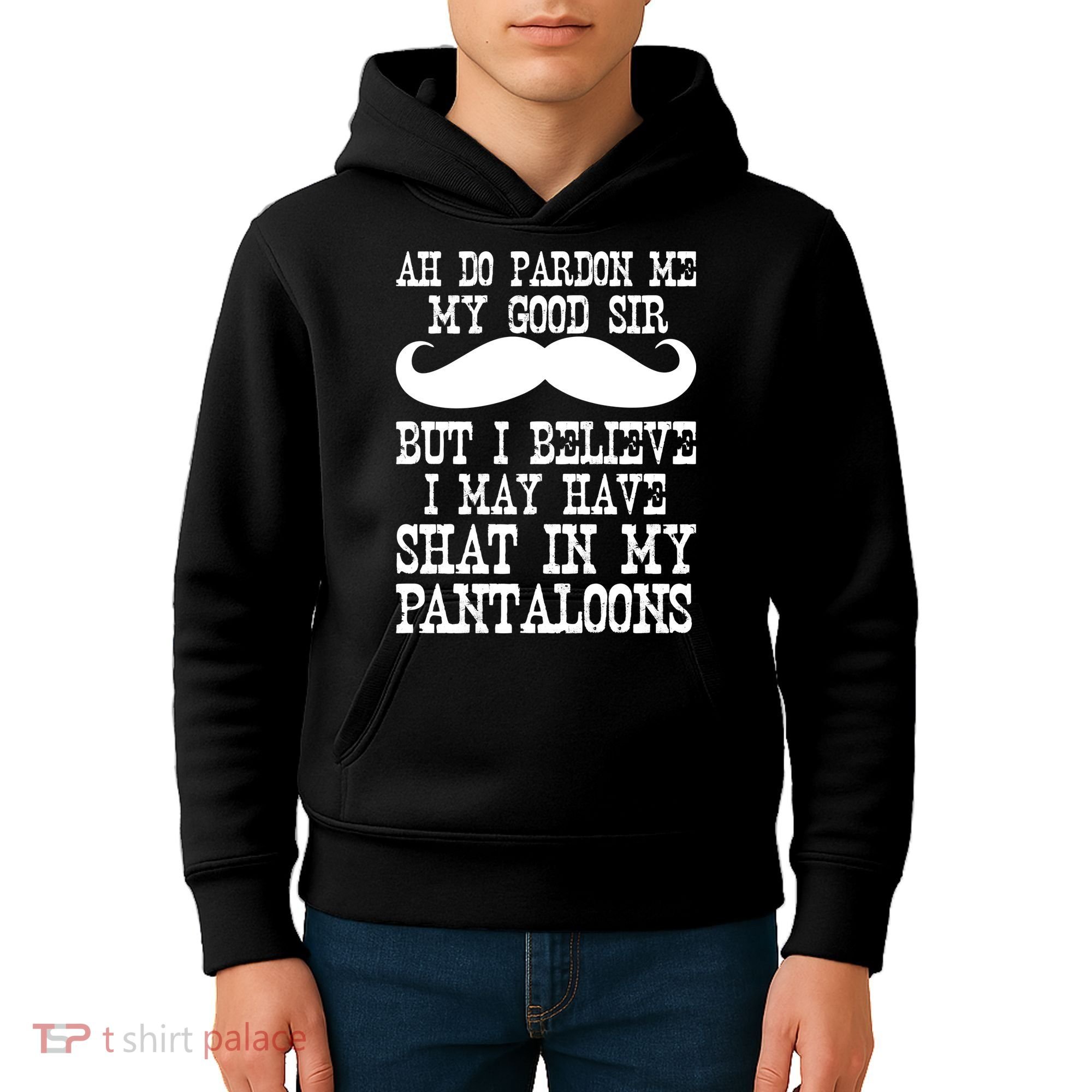 Ah Pardon Me My Good Sir I Believe I May Have Shat My Pantaloons Kids Hoodie