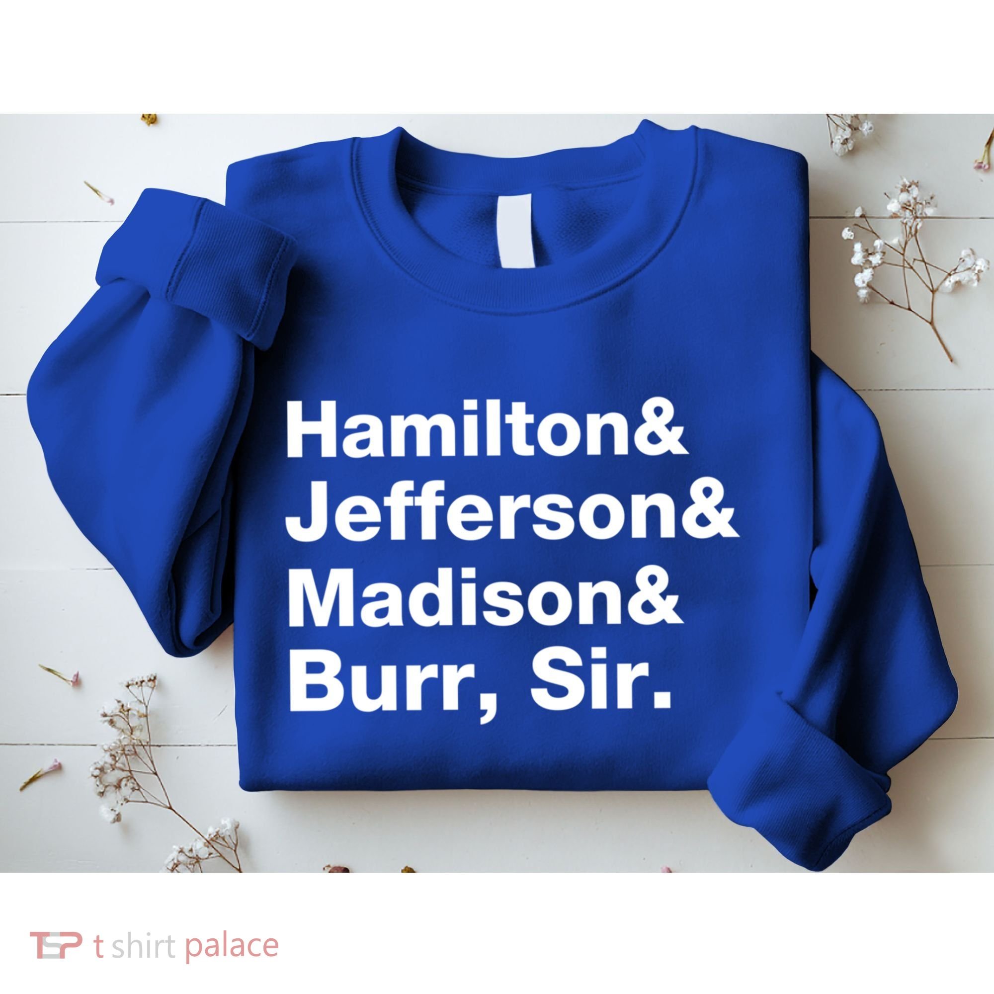 Alexander Hamilton And Burr Founding Fathers Funny Gift Sweatshirt