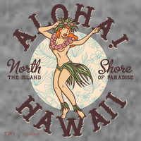 Aloha Hawaii Toddler Hoodie thumb 2