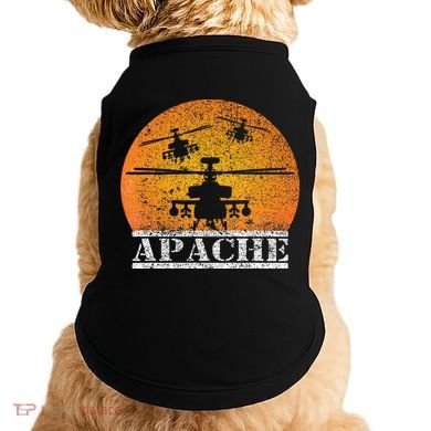 Apache Helicopter AH64 Attack Helicopters Pilot Sunset Doggie Tank