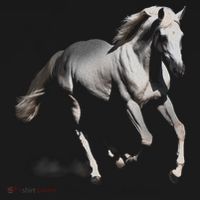Arabian Horse Ornament thumb 1