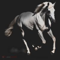 Arabian Horse Hat thumb 2