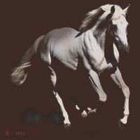 Arabian Horse Baby Bodysuit thumb 2