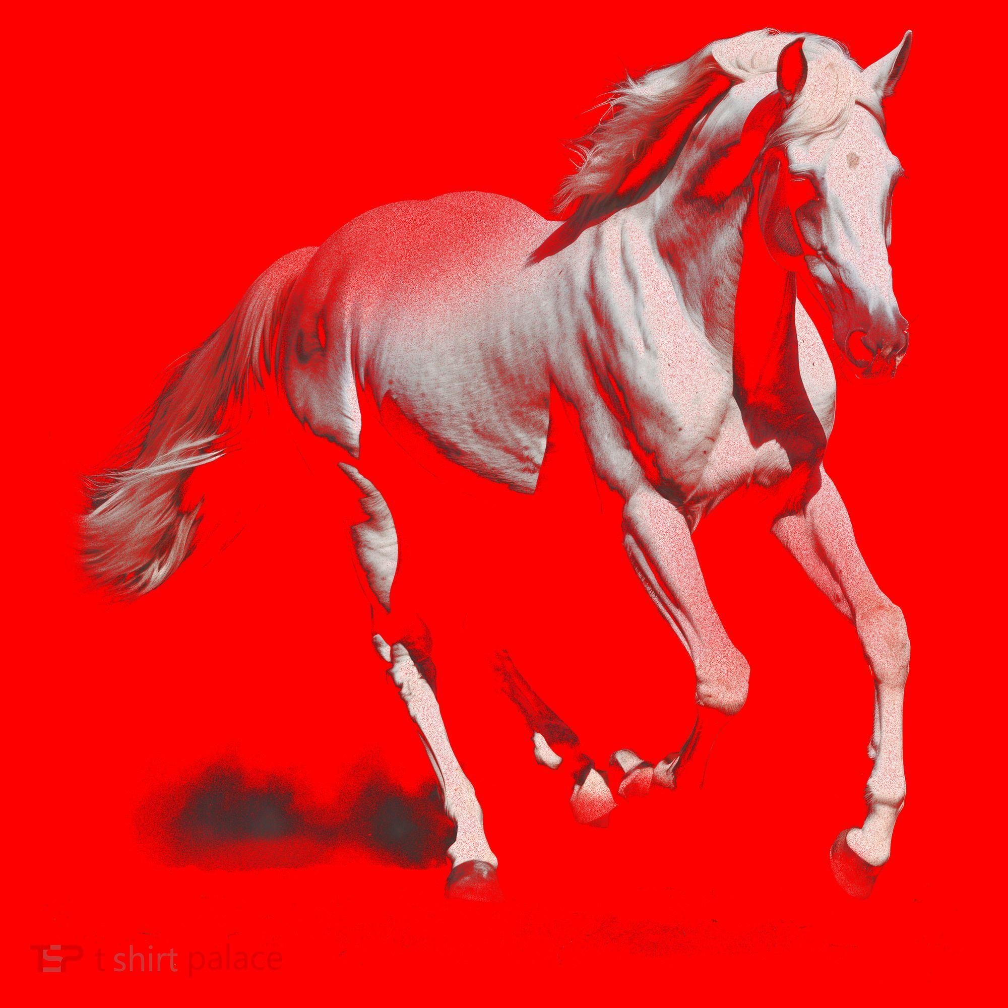 Arabian Horse Santa Hat