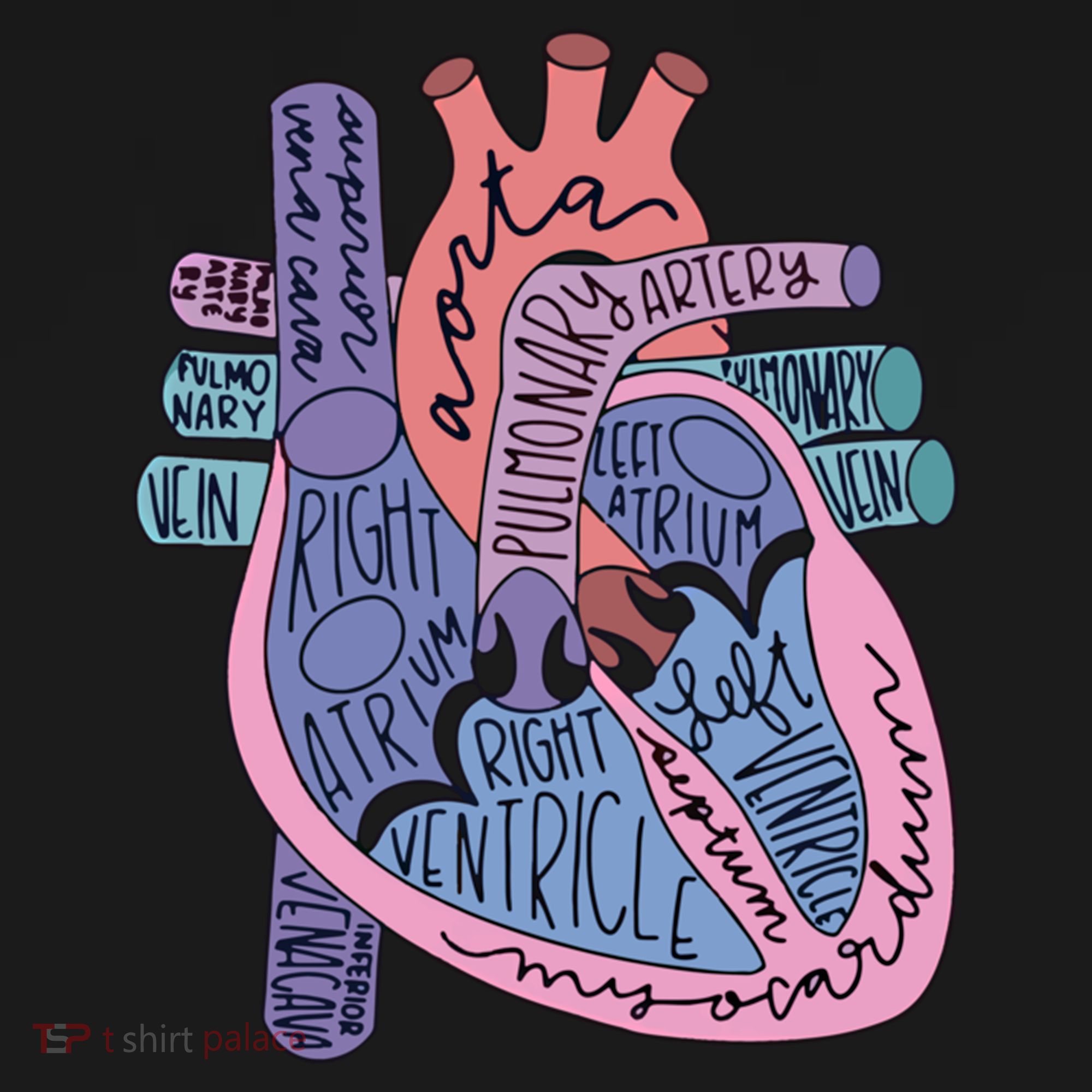 Anatomy Heart Cardiac Anatomy Medical Science School Gift Women's Hoodie