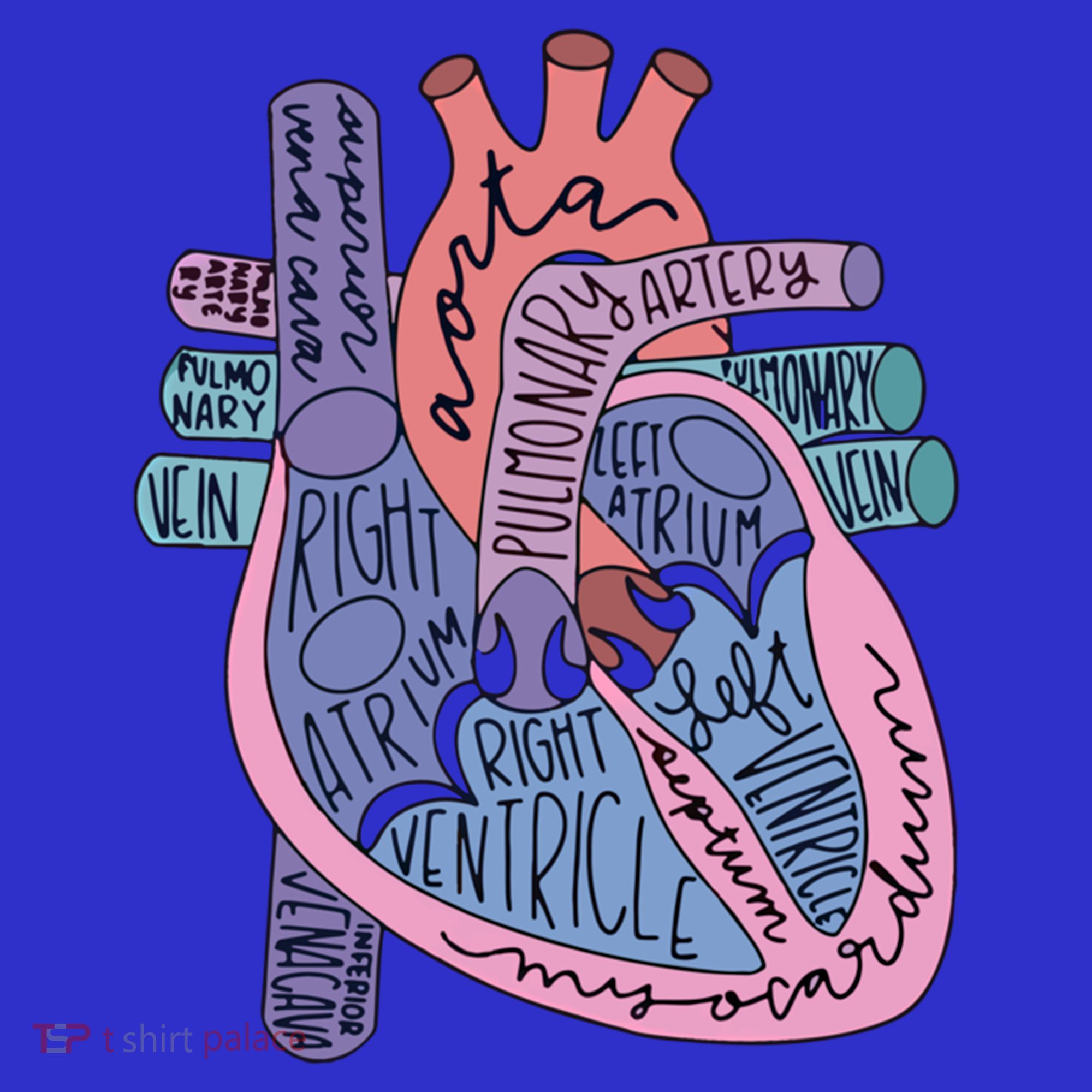Anatomy Heart Cardiac Anatomy Medical Science School Gift Women's Tank Top
