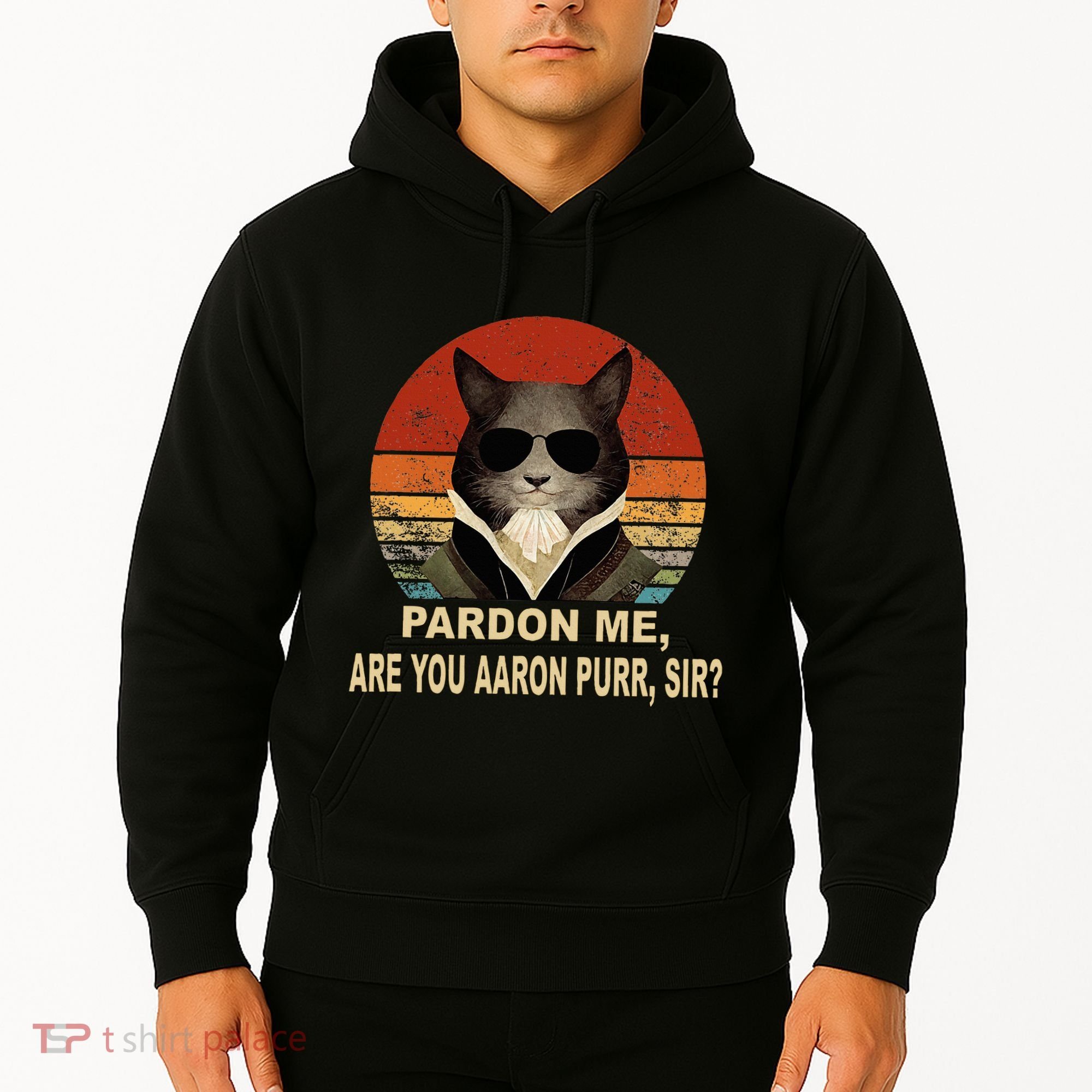 Alexander Hamilton Cat Hoodie