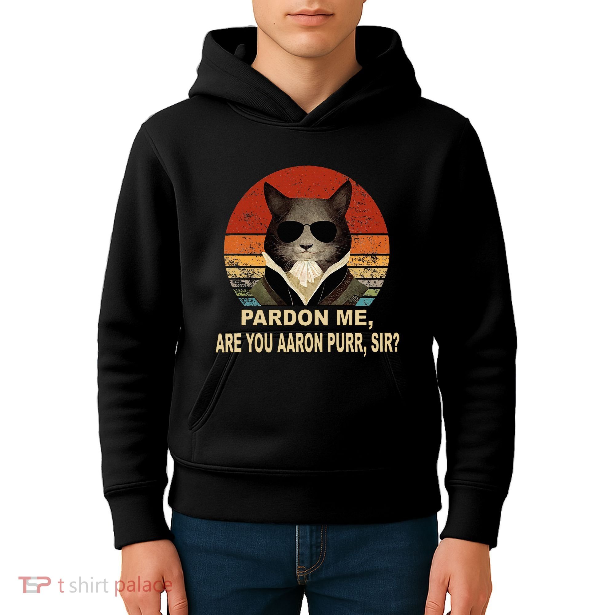 Alexander Hamilton Cat Kids Hoodie