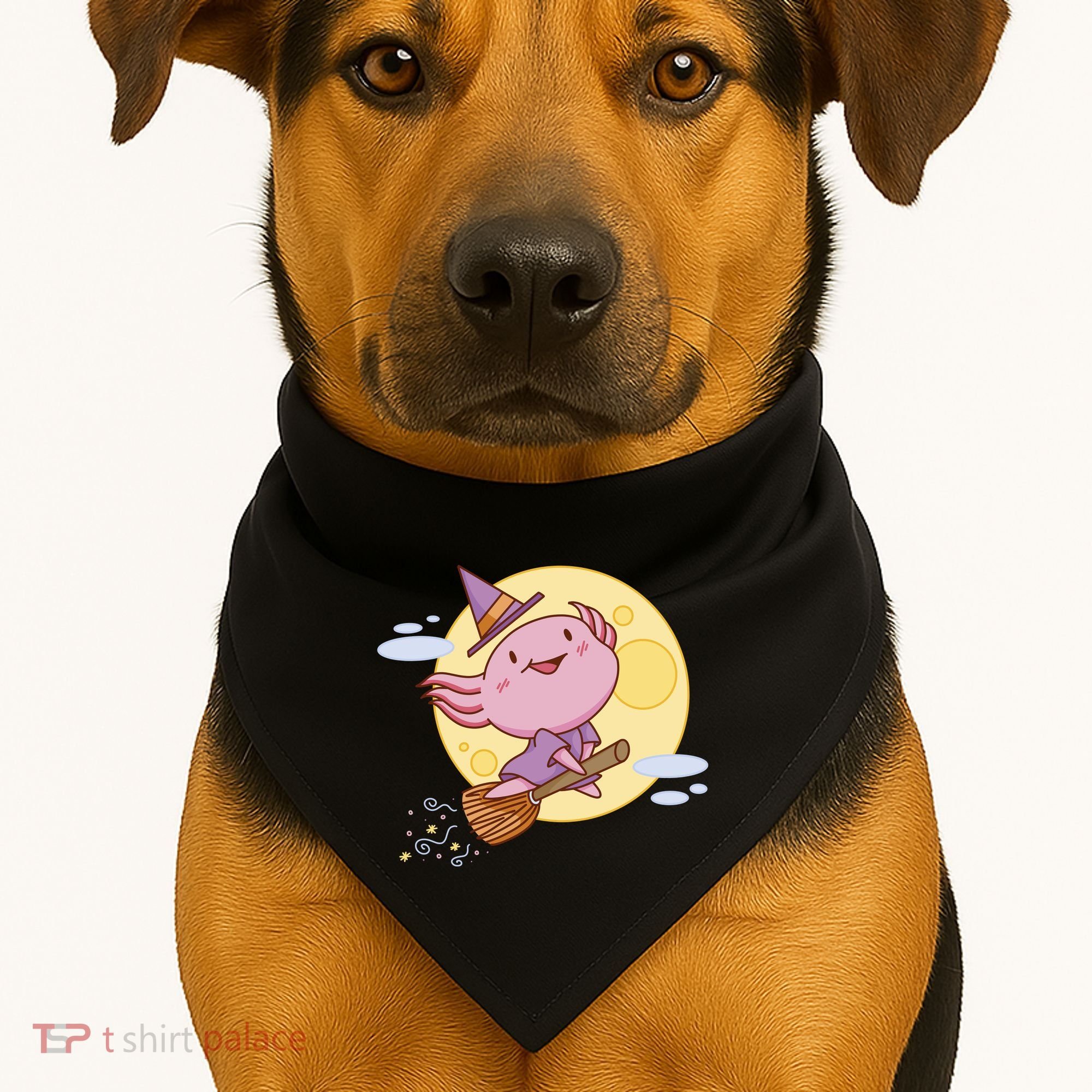 Axolotl Halloween Flying Witch USA-Made Doggie Bandana
