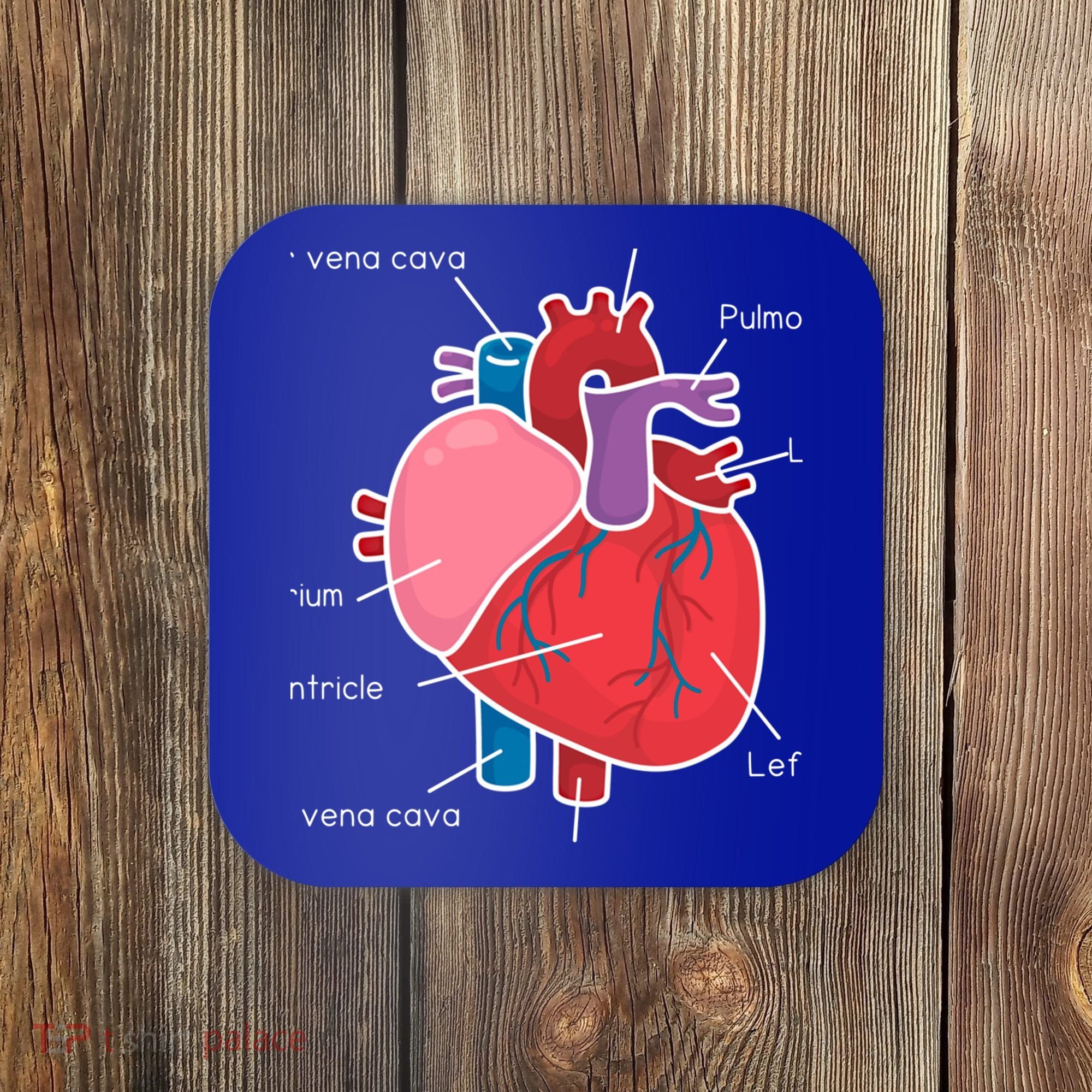 Anatomical Humain Heart Anatomy Science Physiology Medical Great Gift Coaster