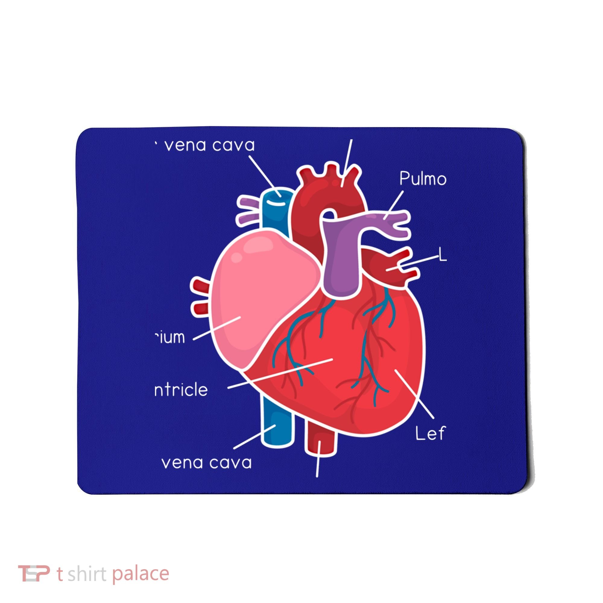 Anatomical Humain Heart Anatomy Science Physiology Medical Great Gift Mousepad