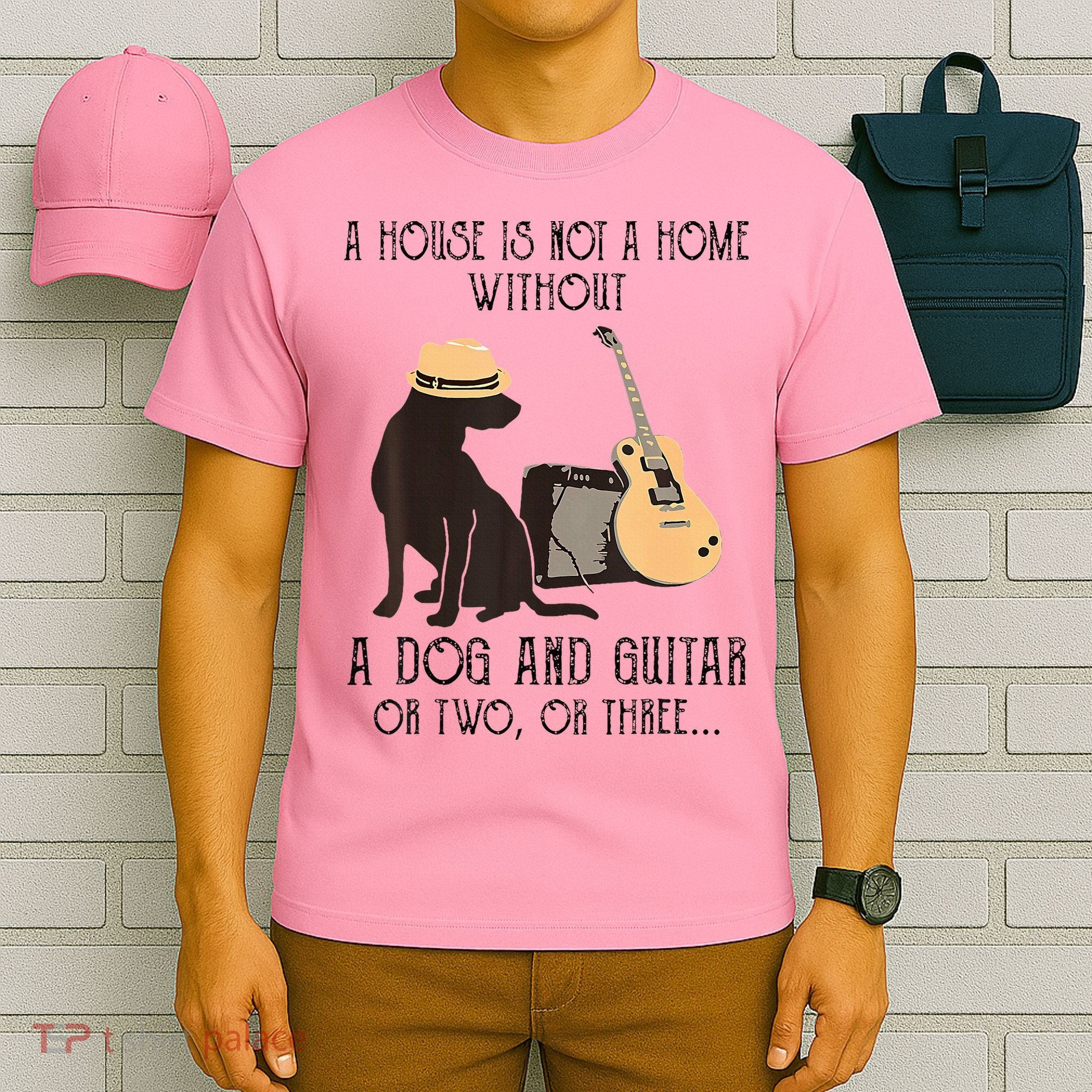 A House Is Not A Home Without A Dog And Guitar Or Two T-Shirt