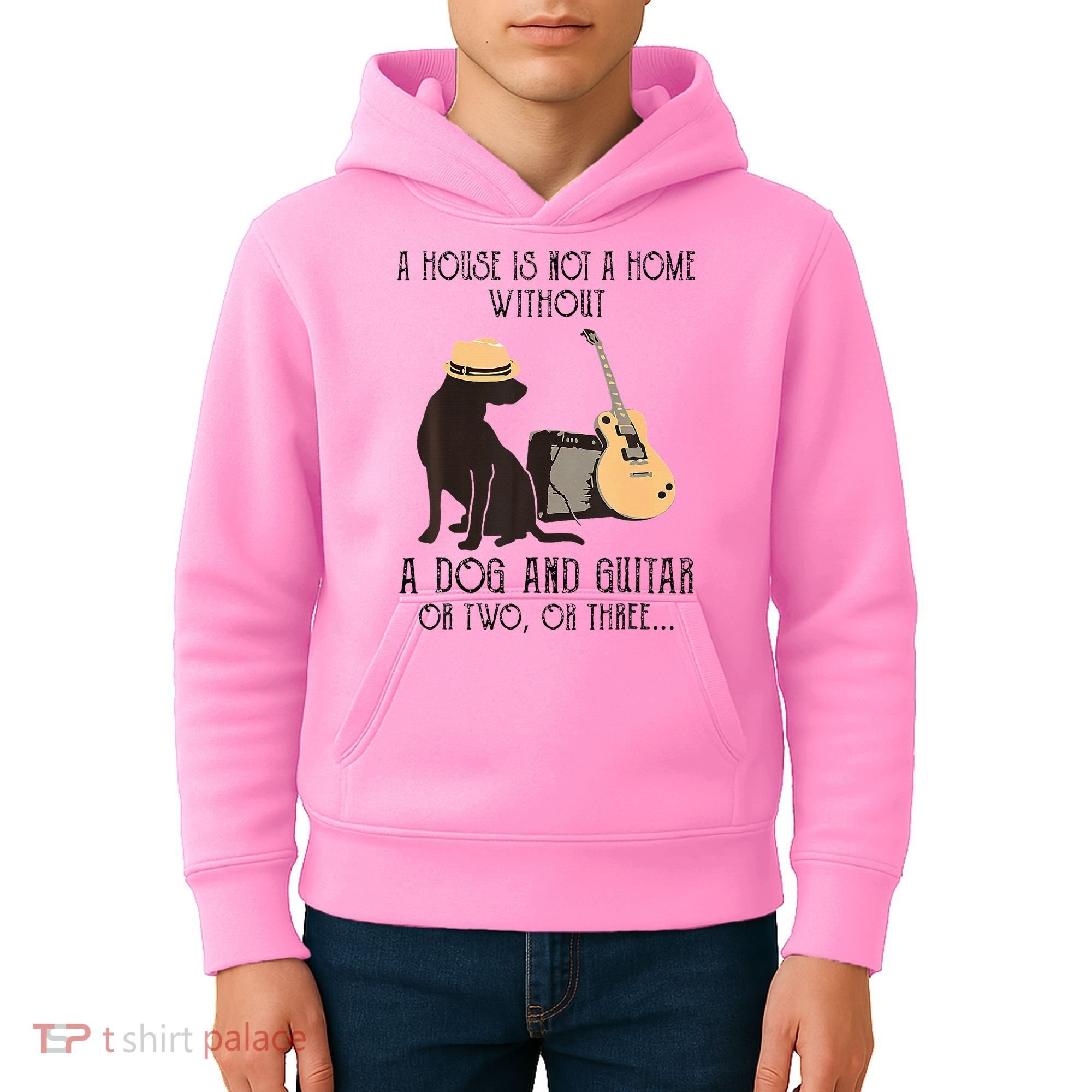 A House Is Not A Home Without A Dog And Guitar Or Two Kids Hoodie