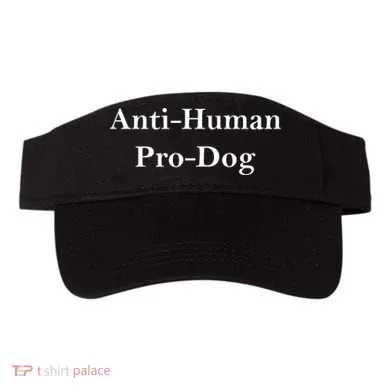 Visor