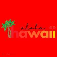 Aloha Hawaii Tropical Vacation Santa Hat thumb 1