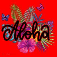 Aloha Hawaii Tropical Beach Santa Hat thumb 1