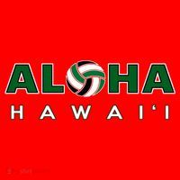 Aloha Hawaii Volleyball Gift Santa Hat thumb 1