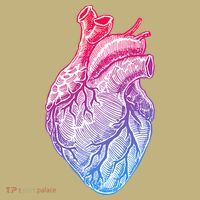 Anatomical Heart Valentines Day For Nurses & Doctors Mousepad thumb 1