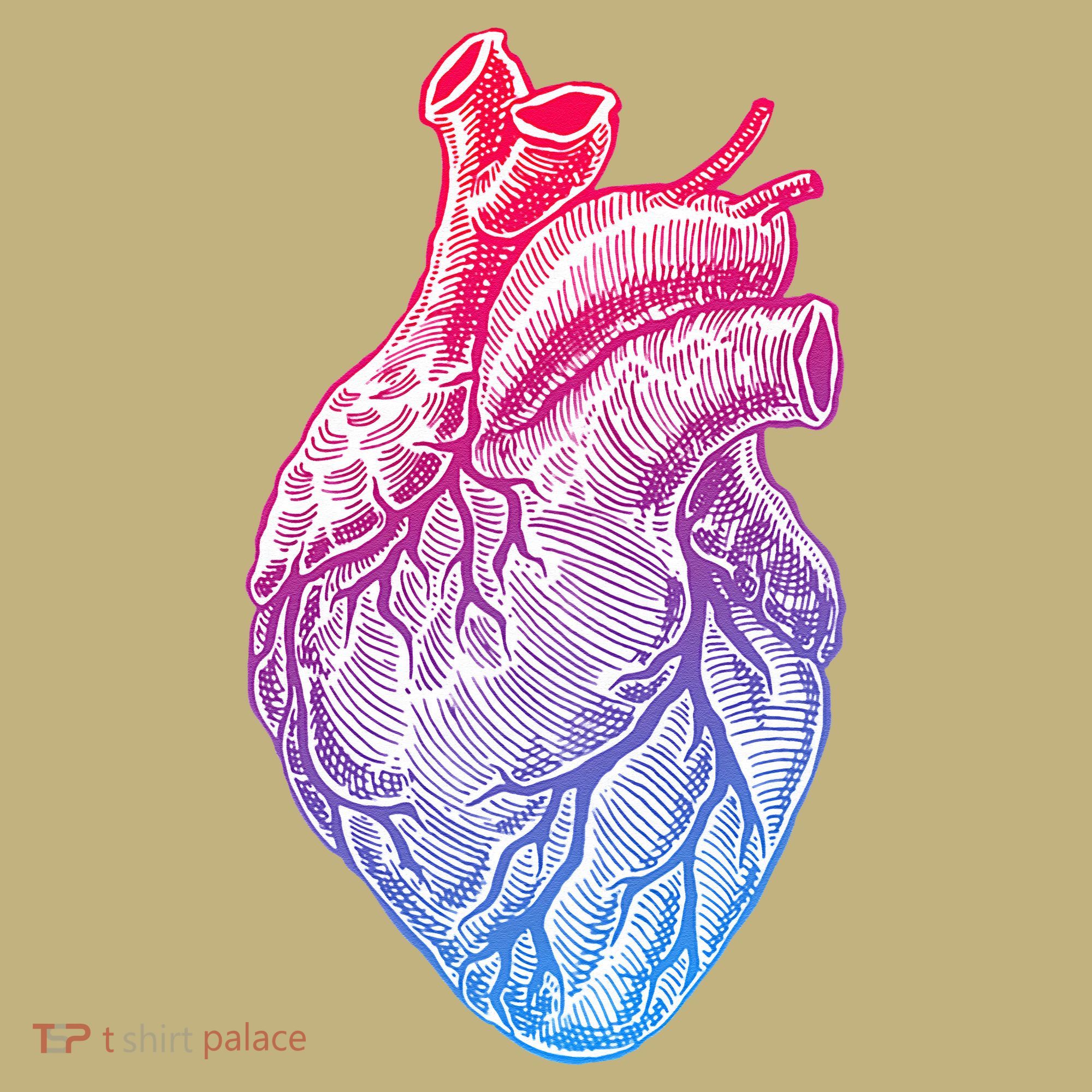 Anatomical Heart Valentines Day For Nurses & Doctors Kids T-Shirt